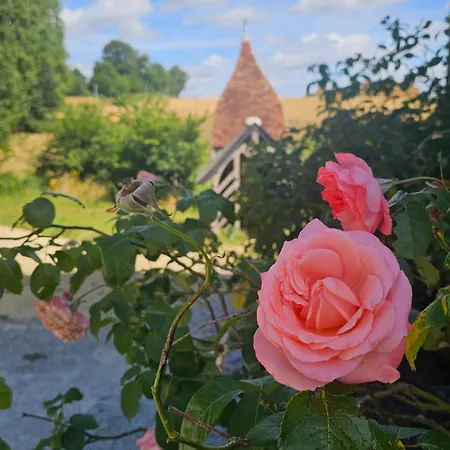 Petit Manoir A La Campagne Avec Piscine Et Jaccuzi Holiday home Couesmes-vauce