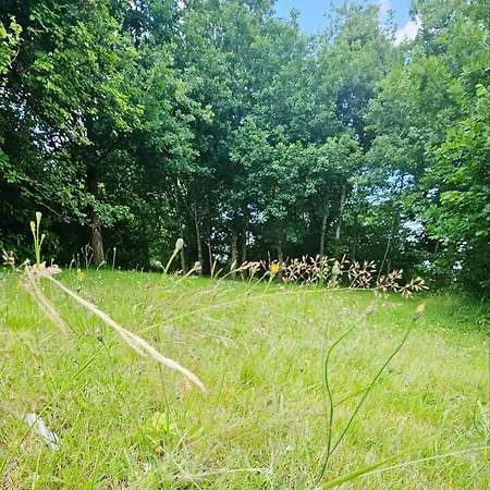 Petit Manoir A La Campagne Avec Piscine Et Jaccuzi